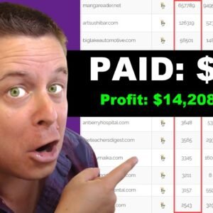 $14K A Month In 90 Days - Ai Domain Flipping Hack!