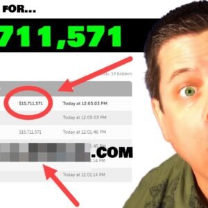 I Bid $15,171,000 For A Domain Name - Make Money Online