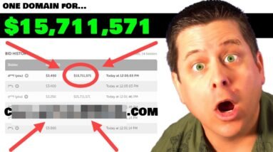 I Bid $15,171,000 For A Domain Name - Make Money Online